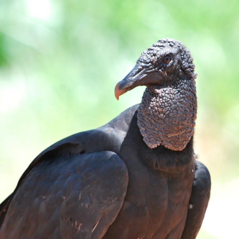 Foto de Paraguaçu Paulista